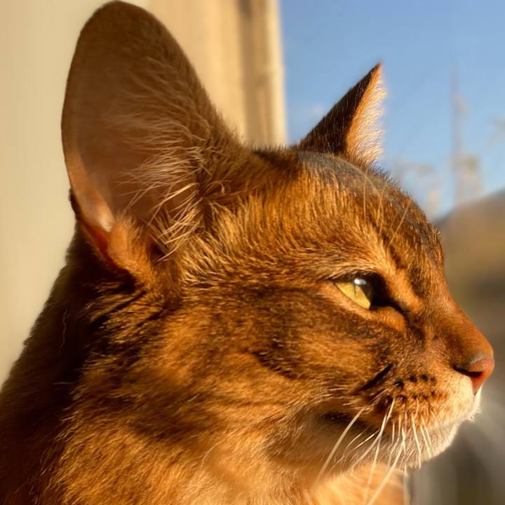 D4cae95b 82c4 43fe b16d b4c5124e38e0 1675928102235