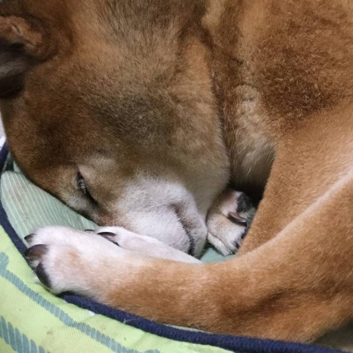 D4caec45 c90b 4d25 9df3 634dab673dba 1603025118791