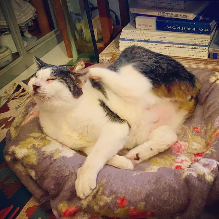 D4cb282b 2819 48b7 a758 0d2ae7bedb8b 1581858797010