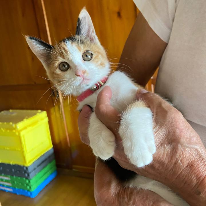 D4cb2d7e 7077 4a81 aa8f afdf3ecfe075 1631509958642