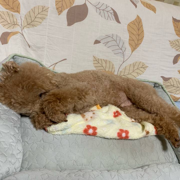 D4cb38b7 5a8c 4479 81d6 709dad08d0b3 1557752999674