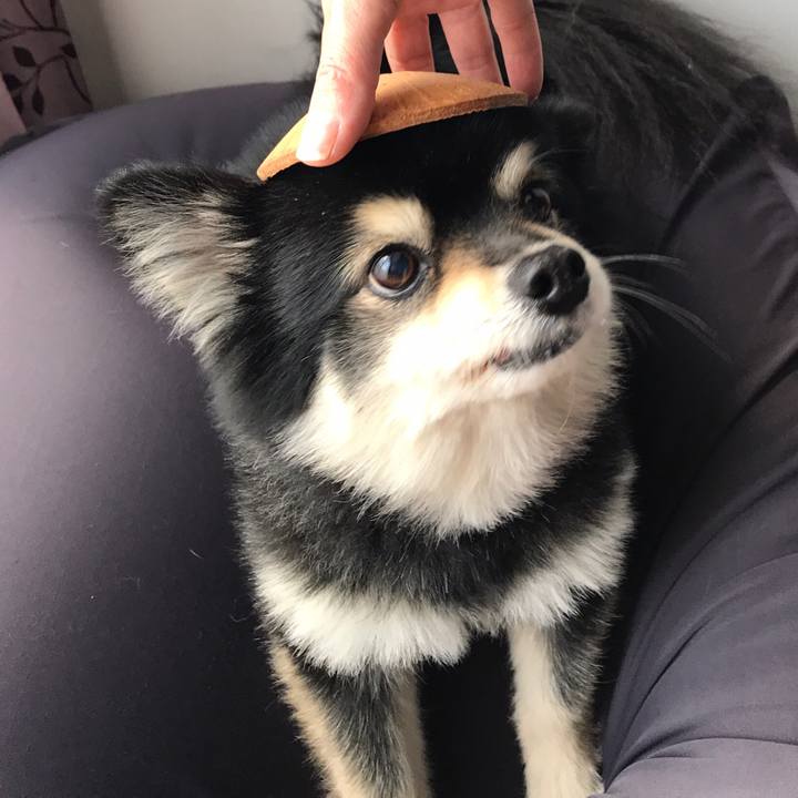 D4cb48fa 31aa 4c7c 9cb1 8b256459d5de 1584682430066