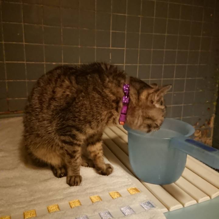 D4cb8d75 6006 4e6d 8939 77aea70b8c7a 1583573609494