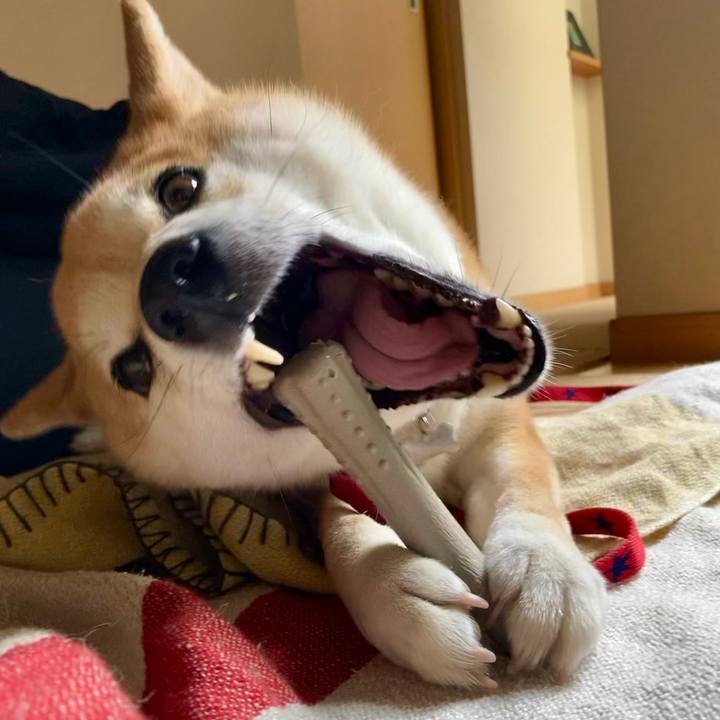 D4cb9e2d 7973 45b0 b071 e0c45c5c93e4 1716780891737