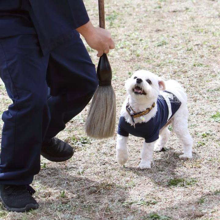 D4cb9e7c d7c0 4b5b 9a43 bba7f6f31eb9 1650540805218