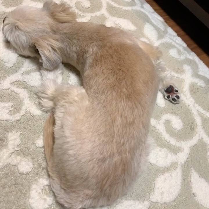 D4cbe109 ee6e 4554 b4c7 7ced843c8d19 1551619314848