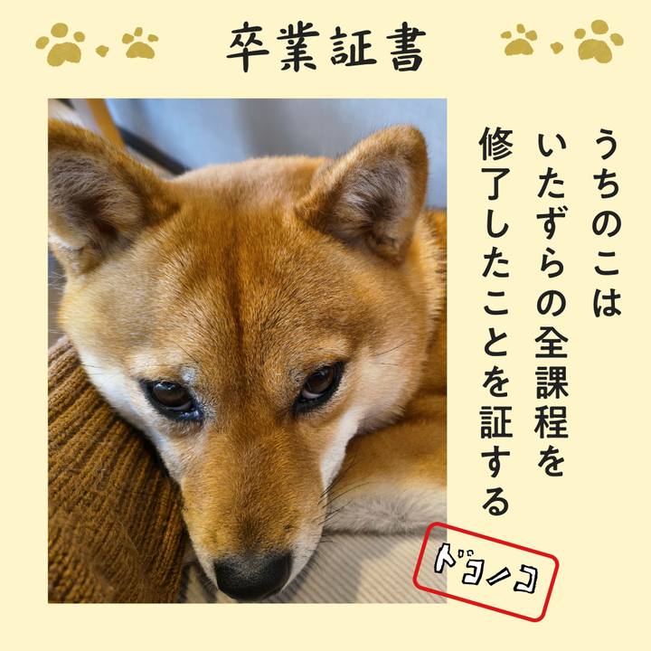 D4cc0b4f 5e3b 4ce7 8024 fc82d0bb15ad 1771985800205