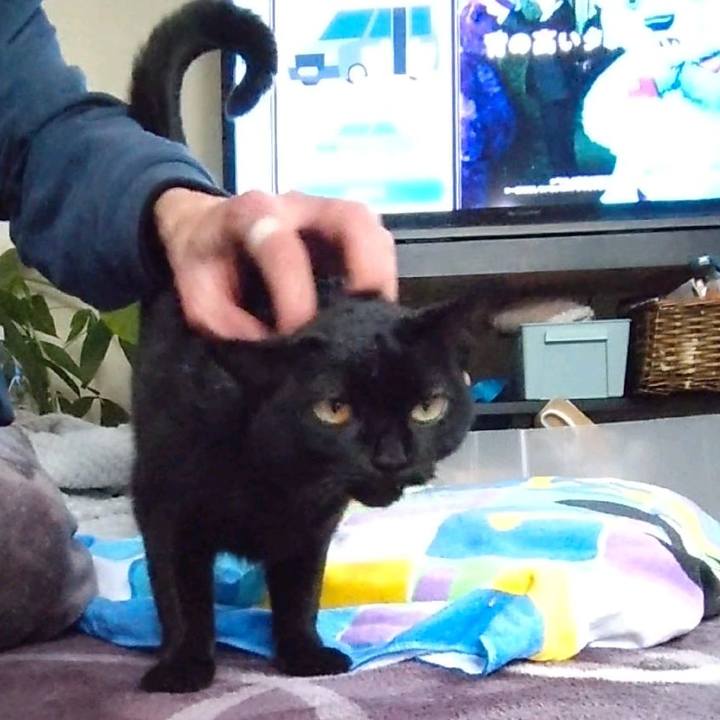 D4cc5e53 56bf 4571 8a4a 76ee5d46edd4 1676709650777