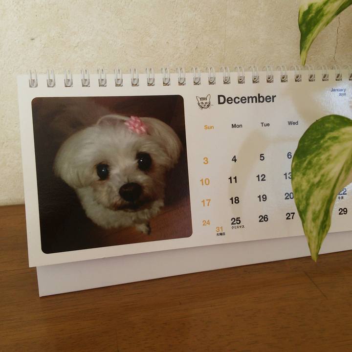 D4cc64df 602e 4cfd 98a4 e35ee7fc344f 1512188342291