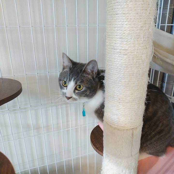 D4cc661b 7c22 4850 8b9e 3786859b5dee 1581206255822