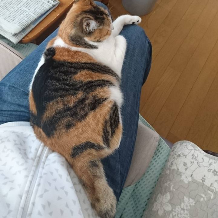 D4cc694f 2532 498e a584 6580eefaf714 1534555629406