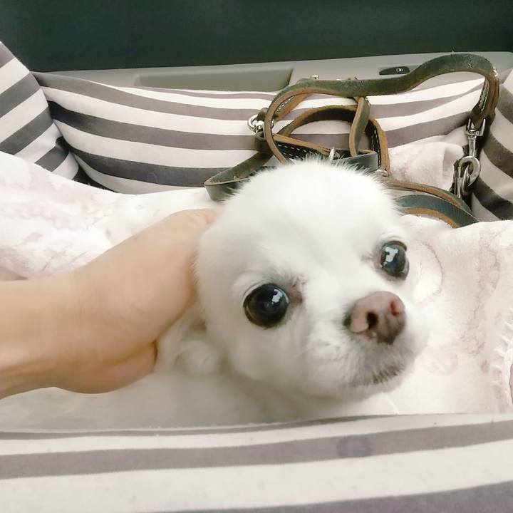 D4cc86fa 76d8 4dfd 87e2 a3db8a4fc983 1624538284824