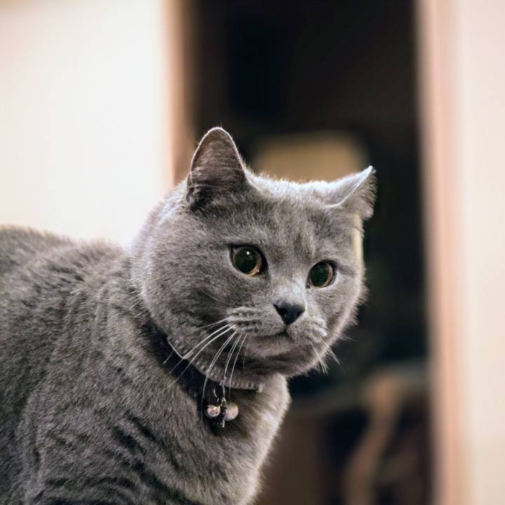 D4cc9326 69ab 45df 88ef b041663ae0b3 1744350785724