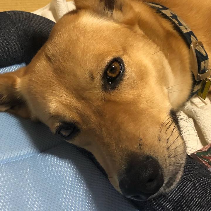 D4cc9c4b a43e 4e09 9cba 77e29ec0b46a 1565416550067