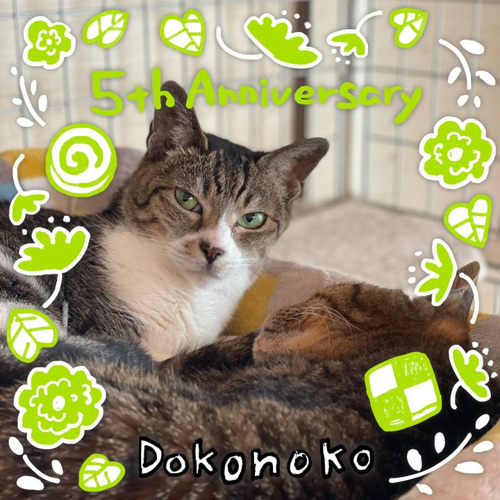 D4ccc7d1 119b 4f2e 9e94 09d077278346 1622857367903