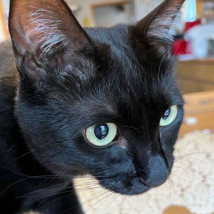 D4ccd34a f1c7 45ac a3cc 29acefc397a1 1654208636518