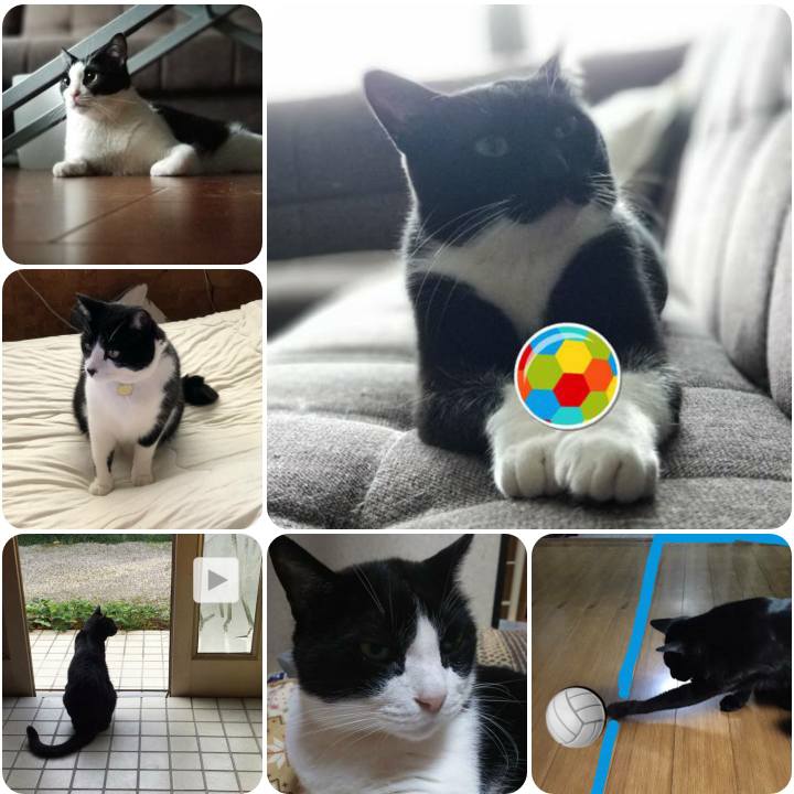 D4cd1611 9099 408f 8ba7 8219f84394a5 1560516130893