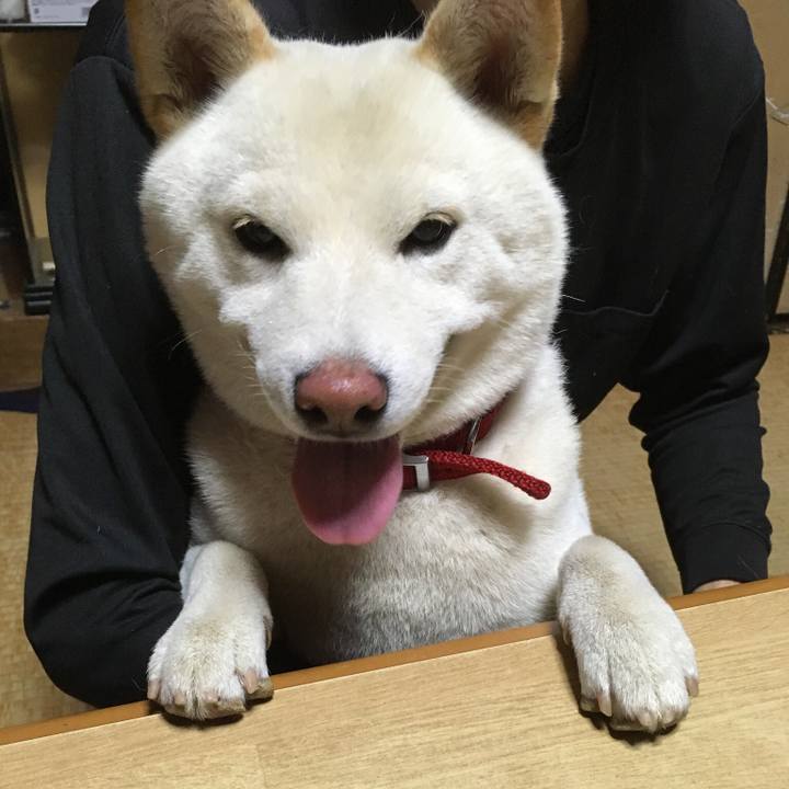 D4cd60ff 193f 4cdd 96fb 25386c980647 1530882546598