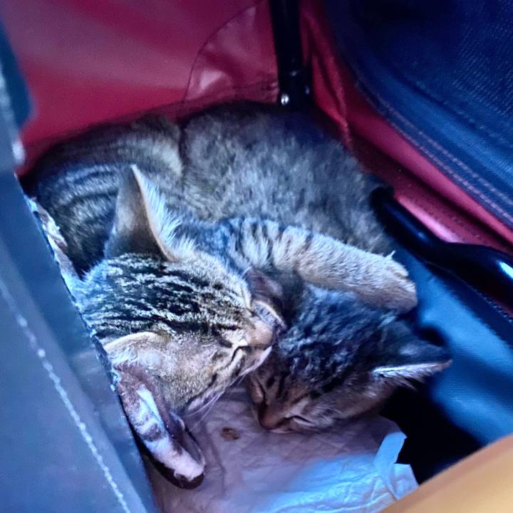 D4cd7b82 5800 4107 a687 e79a1cf33a6f 1638169869389