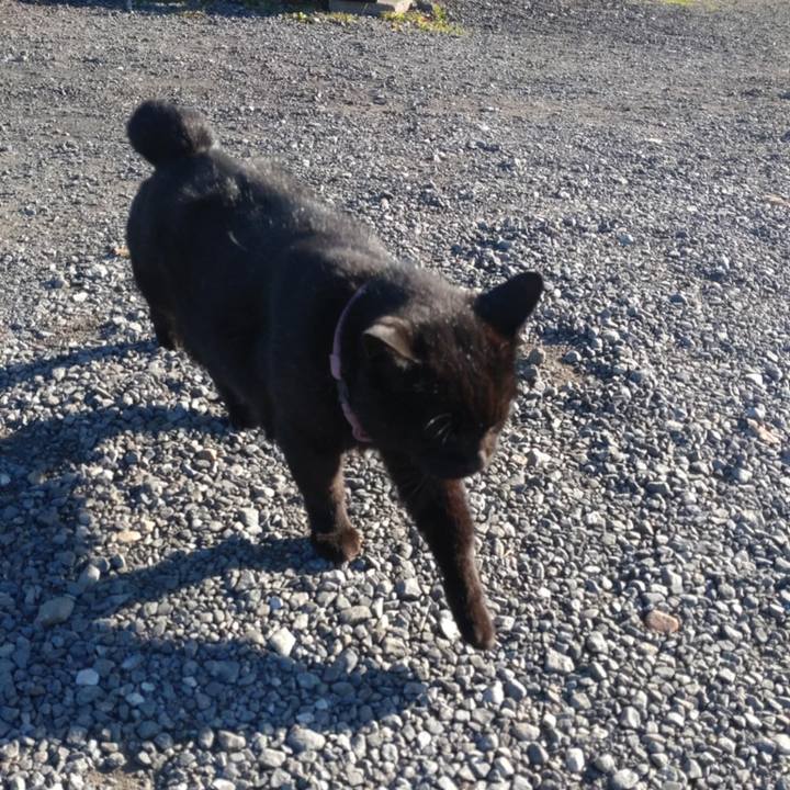 D4cd8275 0f40 4397 b6e1 91edc5e01fb9 1733099055646