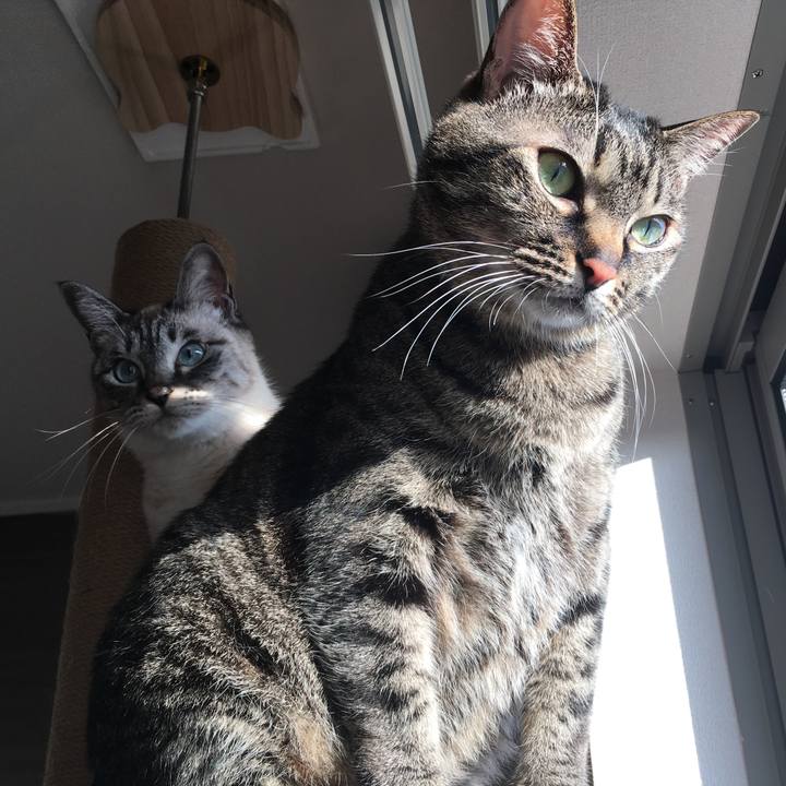 D4cda52f 6b15 4bd2 bfba aa635bea5e1e 1582324095707