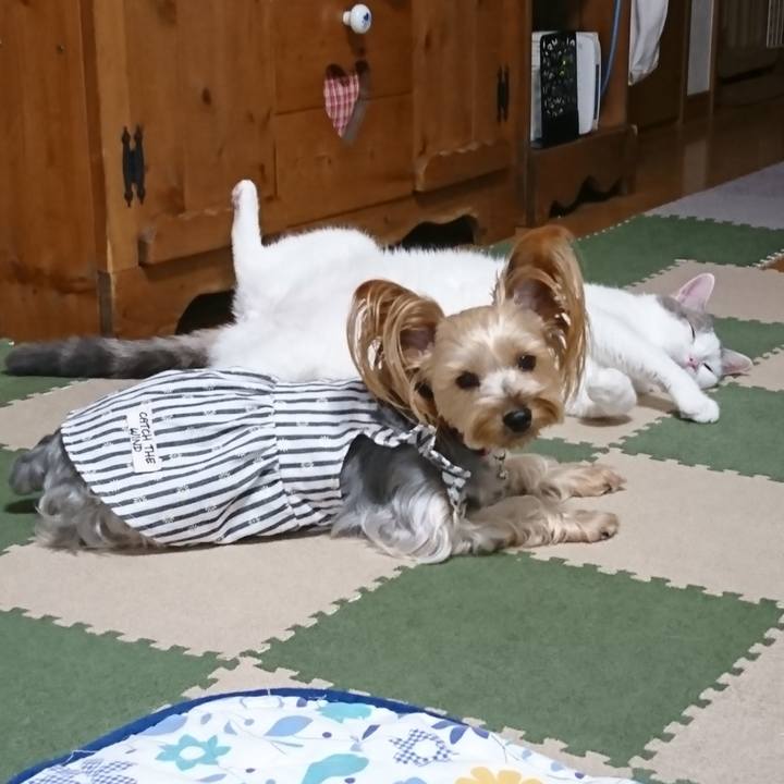 D4cdf361 3eab 4a3a 9649 6c81a233c239 1536704337232