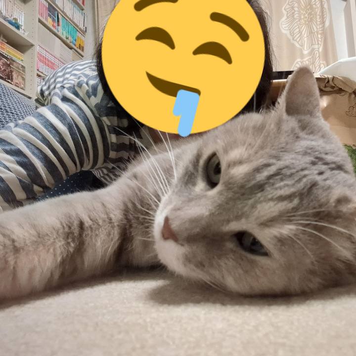 D4cdf7f4 b5e2 4220 83bc 7abecb3c4578 1686630010985