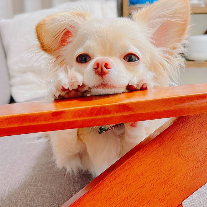 D4cdfc81 f16c 400e 85f4 7b58b771556c 1731538997363