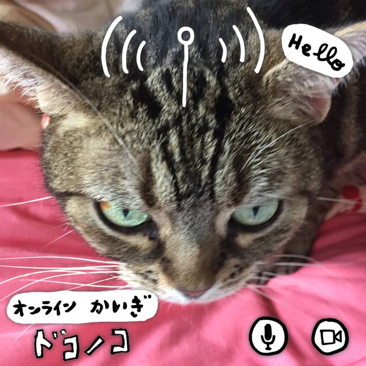 D4ce110b 7325 4746 89dc 029bb201ea79 1590669969354