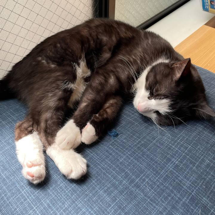 D4ce1d33 e6af 4375 b269 63215a348aa5 1619094354694