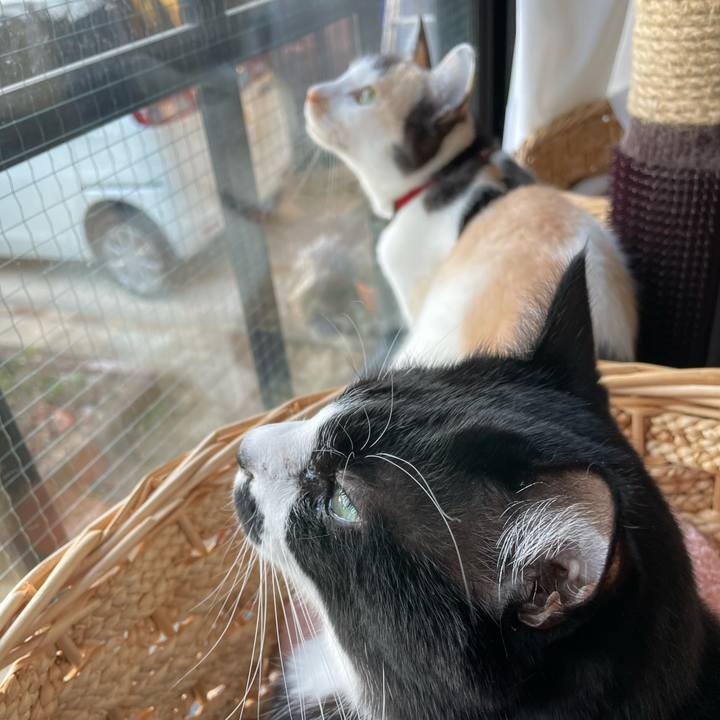 D4ce2b82 e363 4ec0 8260 e75efec4cf29 1704061842476