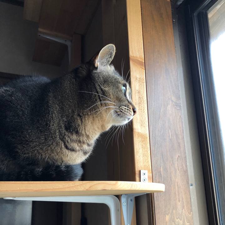 D4ce69f1 d779 4585 821d 3a850ee41dcc 1581058415350