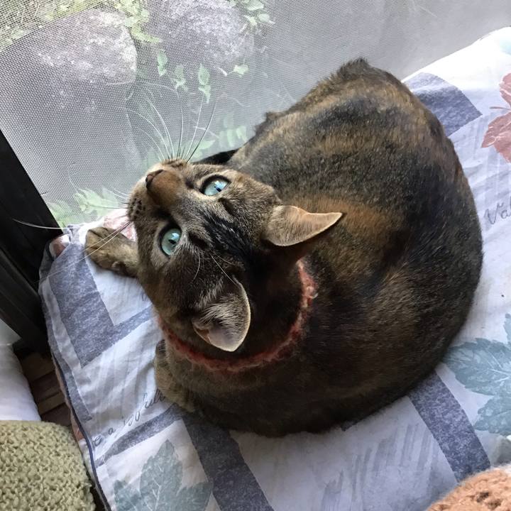 D4ce8cd0 e81f 4e1e 9464 fe3a2b897e56 1633164243709