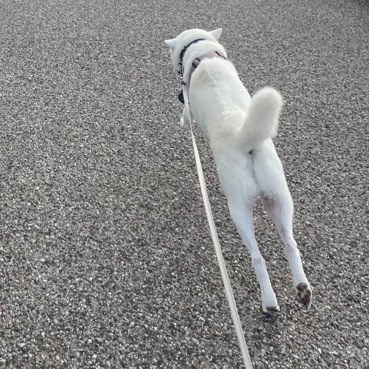 D4cea48f 7742 4d8c b590 17027bcf134e 1698450105665