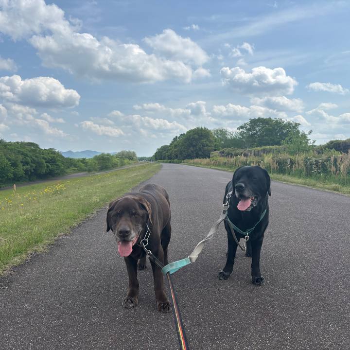 D4cee1fb f28c 4296 a270 6ce1823434a5 1777379885357