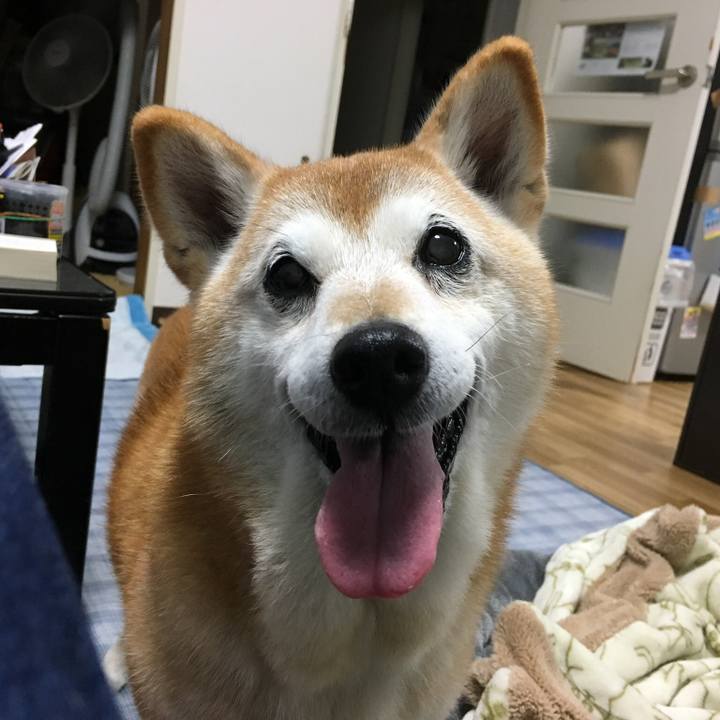 D4ceff15 8ff0 4b57 ac5b 7c97c2699b2d 1541826081185