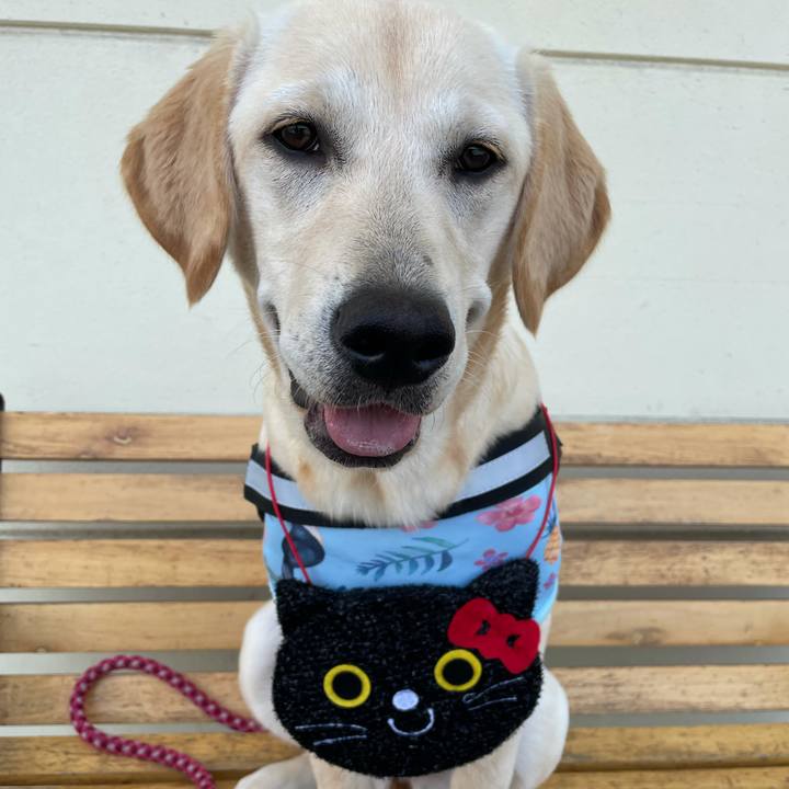 D4cf0045 a7a0 461c aca5 fd62c77cc614 1623034075959