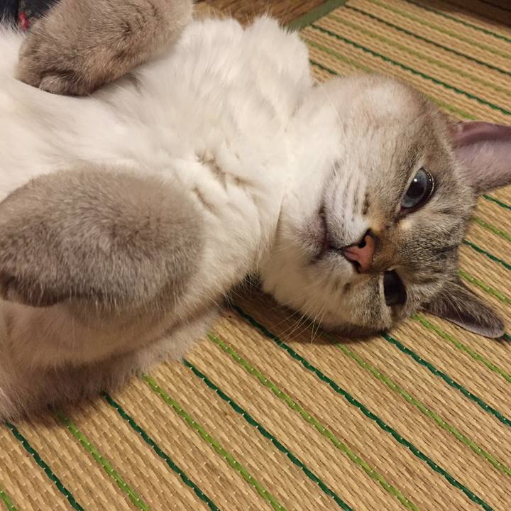 D4cf044a 99be 4f7b 9575 20fddb6cd74b 1563365859131