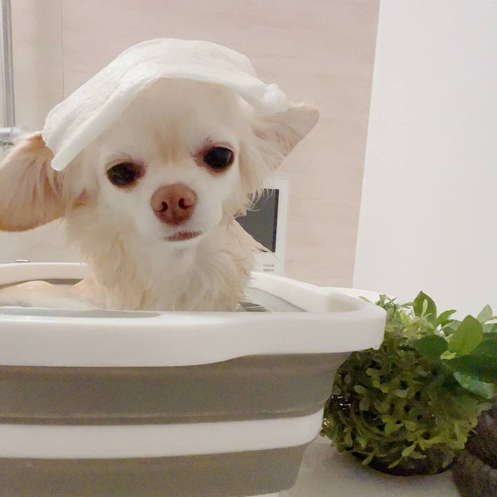 D4cf2c87 9e68 4f36 9580 54a9087919e2 1707218143707