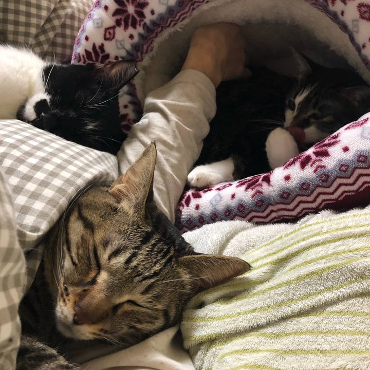 D4cf2e41 f42c 428e 8a4f b384a679d4e5 1549880809631