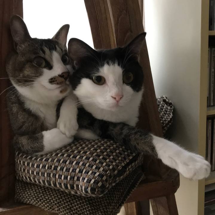 D4cf5d13 0605 48aa 8624 e849e4c3570d 1529214920272