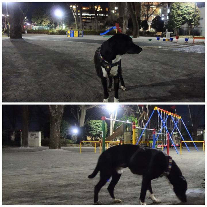 D4cf6298 0b67 4fdd aa72 9b27748aff90 1646565260272