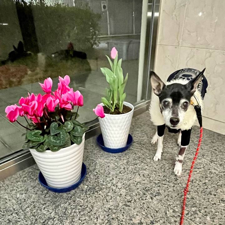 D4cf677c 5984 4173 814b ca97168d1540 1643237878946