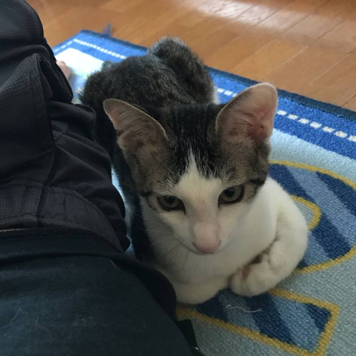 D4cf7bb4 8bd4 45d2 bd80 7493315576c4 1554195442732