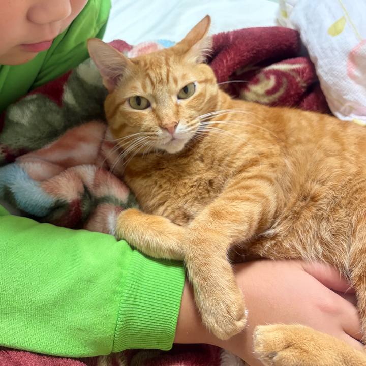 D4cf8208 c51d 4ec9 9e4e f56a3c727ba0 1763038716383