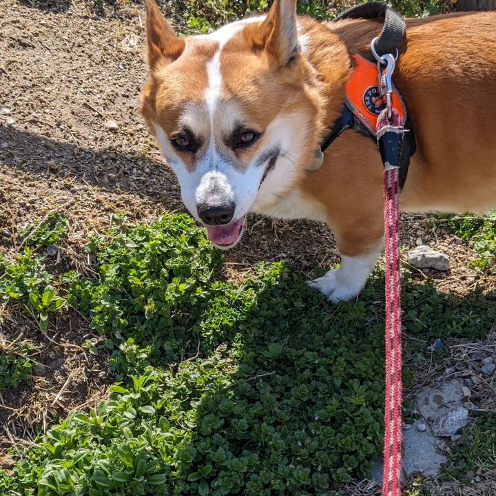 D4cf8db6 93e8 43ef 8fe5 76d905620916 1710047066005