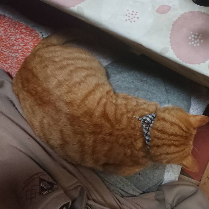 D4cfa083 cfa4 4ae5 81da 2cb217842ee8 1575541803773