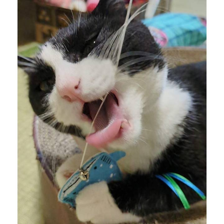 D4cfa0c4 72f7 4765 aacd 34df20ab77ba 1691381683982