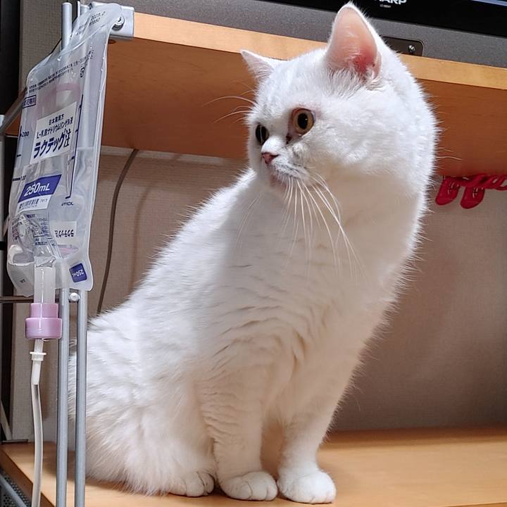 D4cfc656 c116 4a90 9067 cdebc70fef02 1631100991078