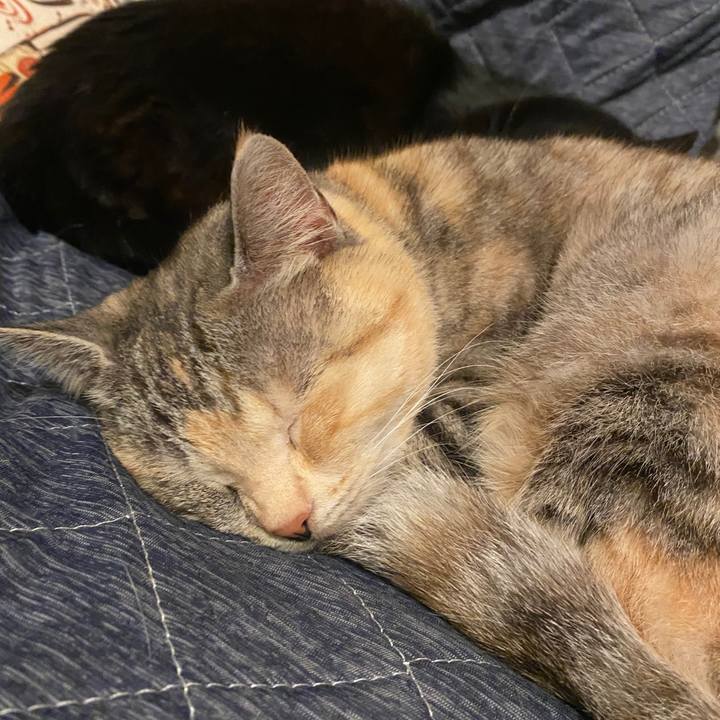 D4cfd65b 0657 43d6 bfca 230d100f33ce 1586712225536